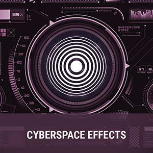 Cyberspace Effects Work Roles