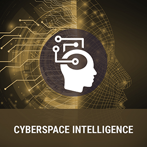 Cyberspace Intelligence Work Roles
