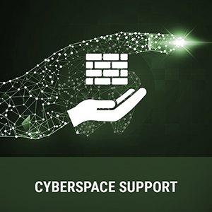Cyberspace Support Work Roles